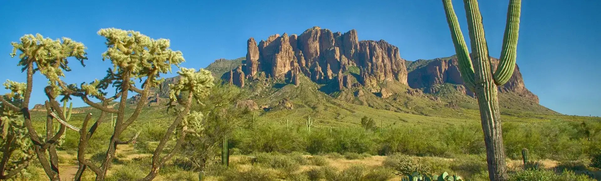Arizona landscape with cacti and mountains, symbolizing Desert Spine and Sports Physicians' commitment to health and vitality.