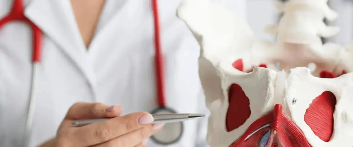 Doctor points to pelvic model, illustrating spine care. Expert treatment at Desert Spine and Sports Physicians, Arizona.