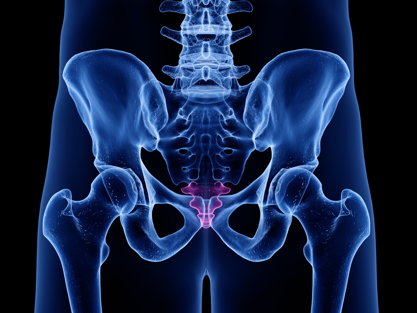 3d rendered medically accurate illustration of the coccyx - Coccydynia AKA Tailbone Pain